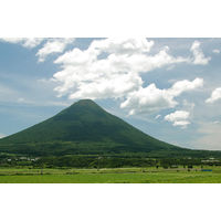 薩摩酒造 さくら白波 25度 1.8L パック 1本 芋焼酎