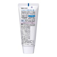 【アウトレット】ピュオーラ ハミガキ ナノブライト 増量 127g 花王