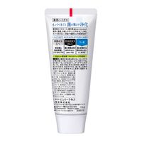 【アウトレット】歯磨き粉 ピュオーラ ハミガキ マイルドハーブ ST 115g 花王