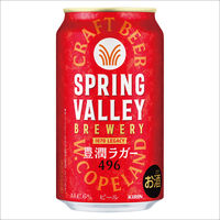 ビール SPRING VALLEY（スプリングバレー） 豊潤 496 350ml　1セット（1本×2） クラフトビール