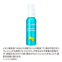 STEAMCREAM（スチームクリーム）　ミスト　ハッカ＆レモン 70ml ギフト　保湿