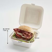 Gracz（グレース）バガス スクエアボックス ホワイト 1セット（100枚：50枚入×2袋）