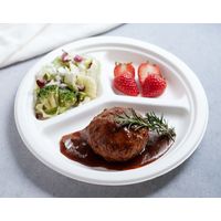 Gracz（グレース）バガス 仕切付プレート ホワイト 1箱（700枚：50枚入×14袋）