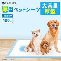 KAEI 厚型ペットシーツ スーパーワイド KO349 大型 犬猫トイレ 1箱(100枚)（直送品）