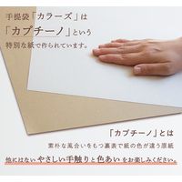 パックタケヤマ STカラーズ　アッシュブルー XZT68305 1セット（1袋（10枚入）×10）