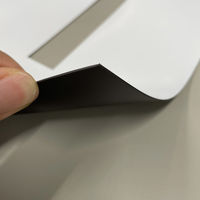 グリーンクロス 吹付けプレート ステンシル 文字高300 ひらがな ぬ マグネット 6300064739 1枚（直送品）