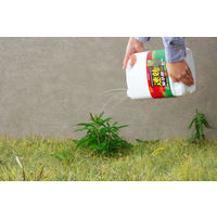 【園芸用品】アイリスオーヤマ 速効除草剤 4L WSJー4L 1本