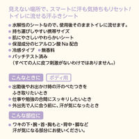 レック SRT 女性用 流せるボディシート 無香料 C01258 1個（12枚入）