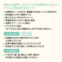 レック SRT 男性用 流せるボディシート ミントの香り C01259 1個（12枚入）