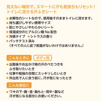 レック SRT 女性用 流せるボディシート シトラスの香り C01257 1個（12枚入）