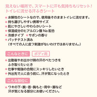 レック SRT 女性用 流せるボディシート サボンの香り C01256 1個（12枚入）