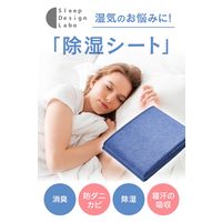 モリリン 洗える除湿パッド シングルサイズ S1025SE2 1枚