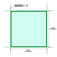 アストロ 養生グリーンネット 10x10m 530-24 1セット(1枚×3)（直送品）