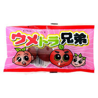 駄菓子 おつまみ おやつ ウメトラ兄弟　3個 10個 よっちゃん食品工業