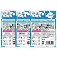 【大容量】キシリブロック オクチミント 22g×3パック オクチのキャンディー 歯磨き後に食べられる ビタットジャパン