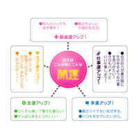 開運梵字歯ブラシ 健康運 1本 ハブラシ ファイン