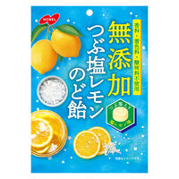 のど飴 キャンディー 個包装 無添加 つぶ塩レモン のど飴 90g 12袋 ノーベル