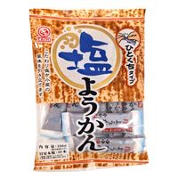 塩分商材 塩分補給 個包装 塩ようかん 186g 1セット（1袋×6） 天恵製菓