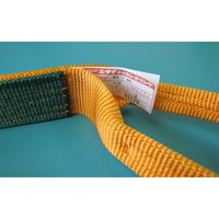 エスコ 25mmx2.5m/0.8ton ベルトスリング(ナイロン) EA981CA-2.5A 1本（直送品）