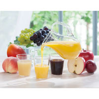 カゴメ すこやかファミリーギフト KSR-10P 1個（直送品）