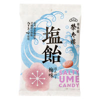 塩分補給 あめ キャンディー 塩飴 ほんのり梅味 80g 12袋 榮太樓  個包装