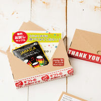 ヘッズ 無地コンパクト宅配ボックス-2 外寸：W230×D165×H20mm M-TBX2 1袋（20枚入）