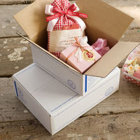 【100サイズ】ヘッズ スタンプ宅配BOX-1 外寸：W470×D330×H120mm STA-CT1 1セット（1袋（10枚入）×10）