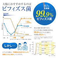 森永 ビヒダス 生きて届くビフィズス菌BB536（15日分） 1袋（15粒入） 機能性表示食品 森永乳業