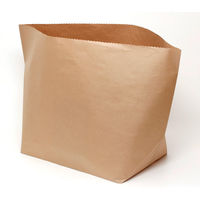 【アウトレット】【Goエシカル】訳あり ＨＥＩＫＯ 亀底袋　Ｎクラフト袋 43ー45 004020201 1セット（300枚：100枚入×3袋）