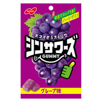 グミ 食べきりサイズ シンサワーズグミ グレープ味 50g 6袋 ノーベル