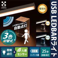 LEDバーライト 日本トラストテクノロジー USB LEDBARライト 3色切替 10cm LEDBARSBT10ー3C 1個