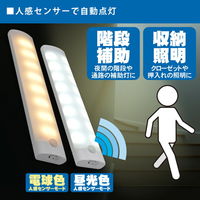 LEDバーライト 日本トラストテクノロジー USB LEDBARライト ワイド 30cm LEDBARSBTーWD30 1個