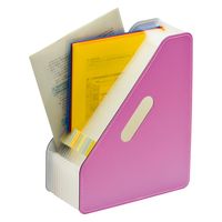 セキセイ ドキュメントスタンドA4縦13P ピンク FB-2381-21 1セット(2冊)（直送品）