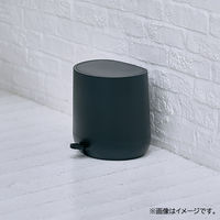 アポロジャパン ゴミ箱 5L ペダル式 フタ付 静音 マットブラック FBーC23ー05ーBK1 1個