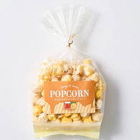 シンコー食産 【5個セット】Fudge Concierge はちみつ&レモンポップコーン 10489145-5 1セット(5個)（直送品）