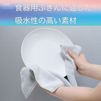 和平フレイズ &kit マットとしても使えるふきん5枚入 RG-0614 1個（直送品）