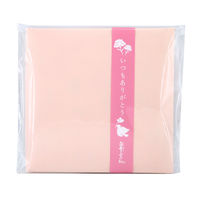 （限定）ギフト 白雪ふきん カーネーション（A Bouquet of Love）ふきん2枚入 ミニカード付き 1セット