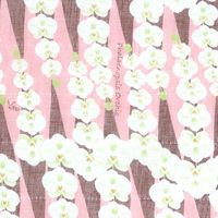 白雪 友禅ふきん 吸水性がよく すぐ乾く 友禅染め かや織りふきん 台拭き 食器拭き 胡蝶蘭 ピンク 1枚