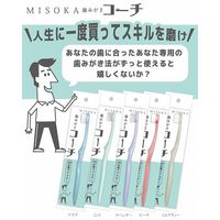 MISOKA 歯みがきコーチ ミント YR-18 1本 歯ブラシ 夢職人