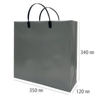 マツシロ 無地ビニールバッグM シルバー 10枚セット 62BMS 1包（直送品）