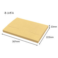 ネコポス対応テープレスダンボール 外寸：223×307×23mm 1パック（10枚入） フジケース