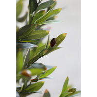 エルブレイン リアルなフェイクグリーン おすすめ オリーブ H150cm LB24027 1本（直送品）