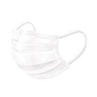 興和 メイクがおちにくいマスク カラーマスク クリスタルホワイト 使い捨て　不織布　プリーツ　1袋（5枚入）