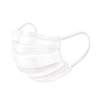 興和 メイクがおちにくいマスク アロマ ローズの香り 使い捨て　不織布　プリーツ　1袋（5枚入）