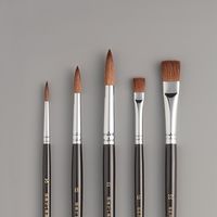 ホルベイン 画筆セット 9 水彩筆 (馬毛) 5本組セット (130319) 130319 1個（直送品）