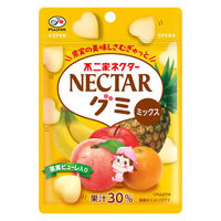 グミ 食べきりサイズ ネクターグミ　ミックス　48g 1セット（1個×10）