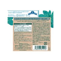 入浴剤 クナイプ バスソルト ピースフルモーメント ウォーターミント&ローズマリー ボトル 850g 1個 クナイプジャパン