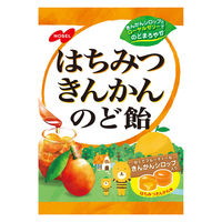 はちみつきんかんのど飴 110g 6袋 ノーベル のど飴 キャンディ キャンディー