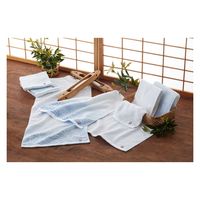 スタイレム瀧定大阪 フェイスタオルセット AYN2540 1個（直送品）