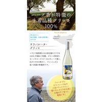 イタリア ドゥーカ・ディ・サラパルータ サラパルータ・グリッロ 白ワイン 辛口 750ml 1本 モンテ物産